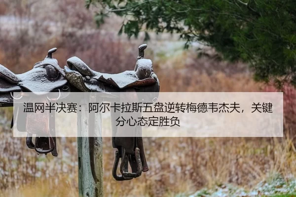 wen-wang-ban-jue-sai-a-er-ka-la-si-wu-pan-ni-zhuan-mei-de-wei-jie-fu-guan-jian-fen-xin-tai-ding-sheng-fu-2-295.jpg