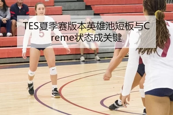 TES夏季赛版本英雄池短板与Creme状态成关键