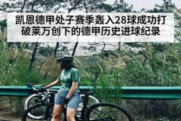 凯恩德甲处子赛季轰入28球成功打破莱万创下的德甲历史进球纪录